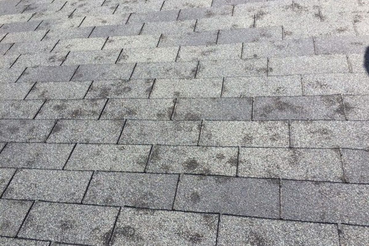 Close-up of hail impact bruising and granule loss on an asphalt shingle in Kansas City